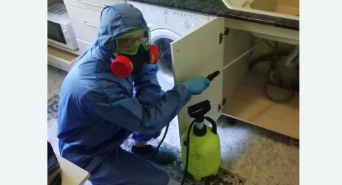 Уничтожение муравьев в квартире. Хадыженск