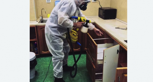 Уничтожение насекомых в квартире. Хадыженск