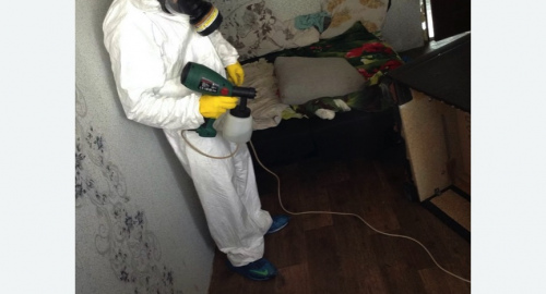 Обработка квартир от насекомых в Хадыженске