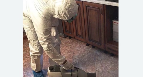 Уничтожение тараканов в квартире. Хадыженск