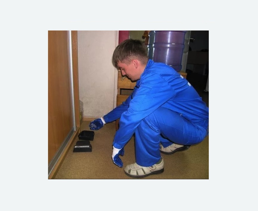 Дератизация крыс в Хадыженске