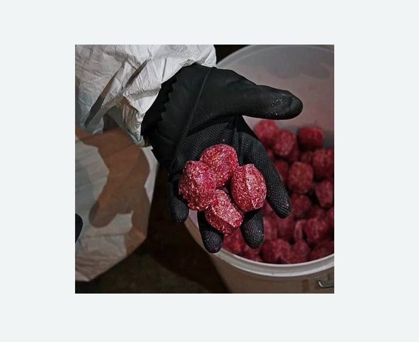 Обработка от крыс в Хадыженске