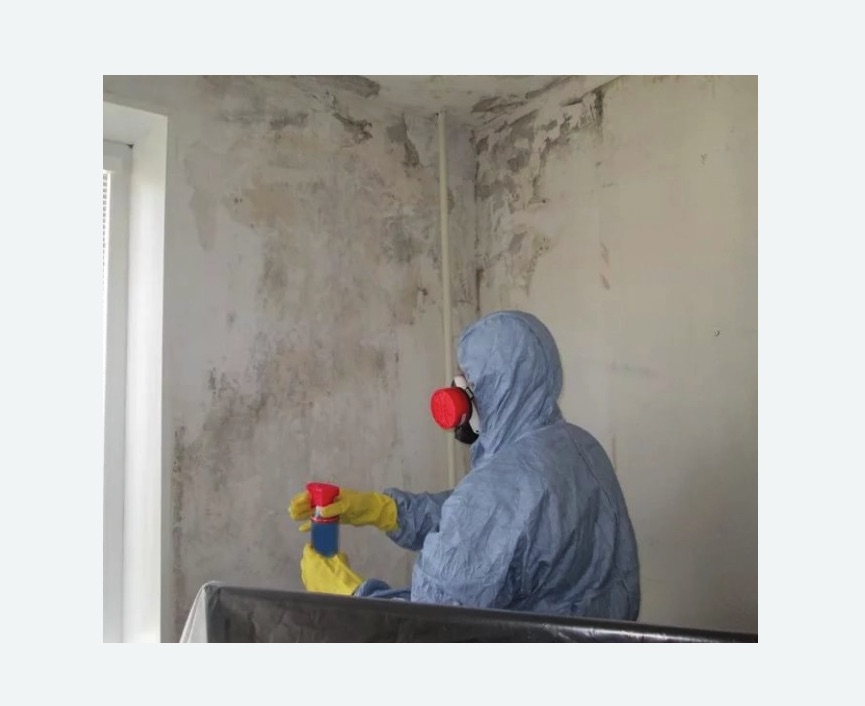 Удаление плесени в квартире в Хадыженске