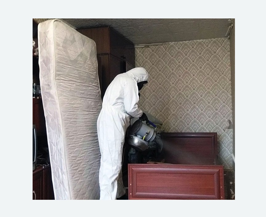 дезинфекция от клопов в Хадыженске