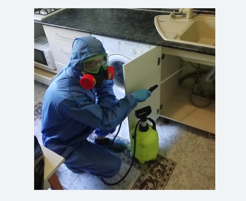 обработка от муравьев в квартире в Хадыженске