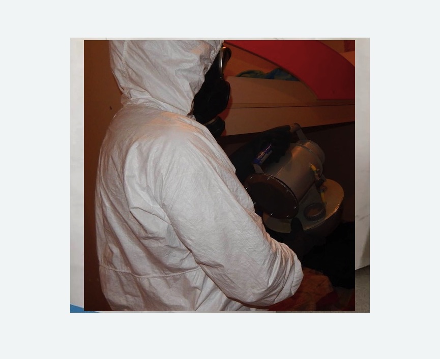 Дезинфекция от муравьев в Хадыженске