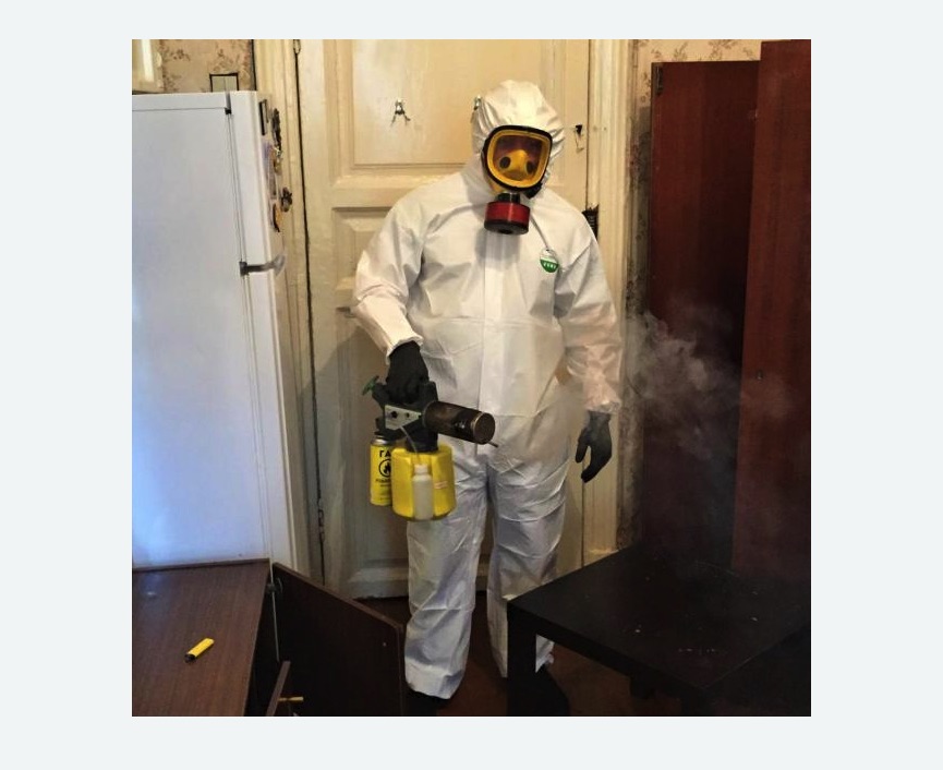 уничтожение муравьев в квартире в Хадыженске